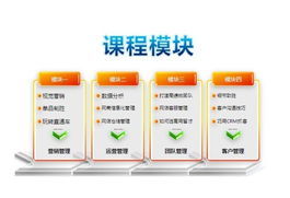 專業(yè)賦能電商未來 網(wǎng)盈機構一站式服務引領行業(yè)新篇章