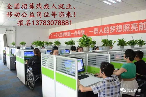 數(shù)字賦能，共創(chuàng)未來(lái) 電子商務(wù)為殘疾人群體帶來(lái)的新機(jī)遇與信息咨詢服務(wù)支持